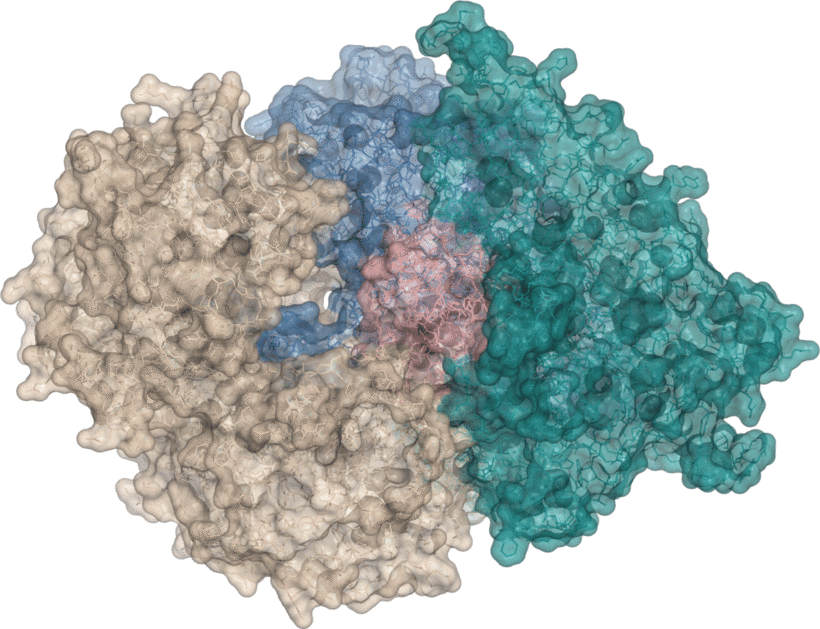 Modelled multi-protein induced-proximity assembly